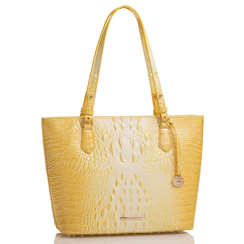 Brahmin | Women's Medium Misha Sunbeam Melbourne