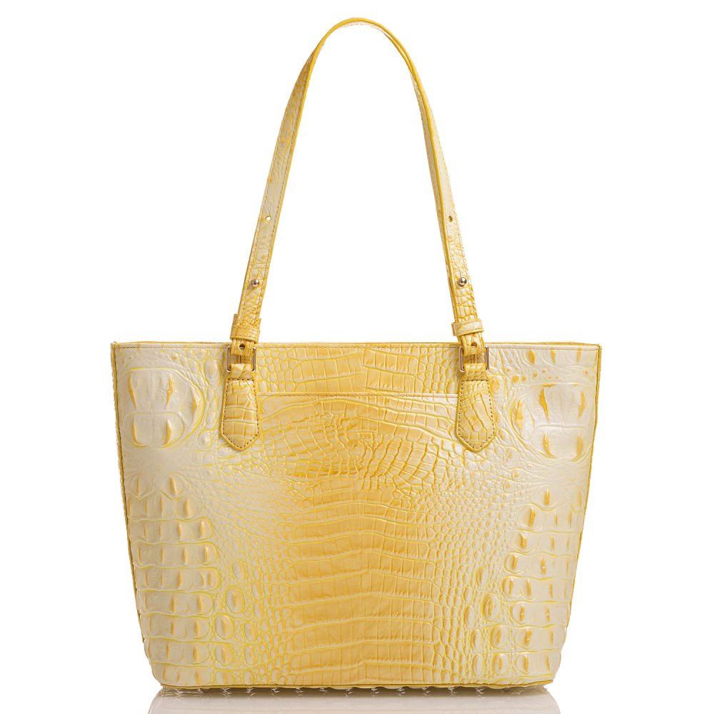 Brahmin | Women's Medium Misha Sunbeam Melbourne