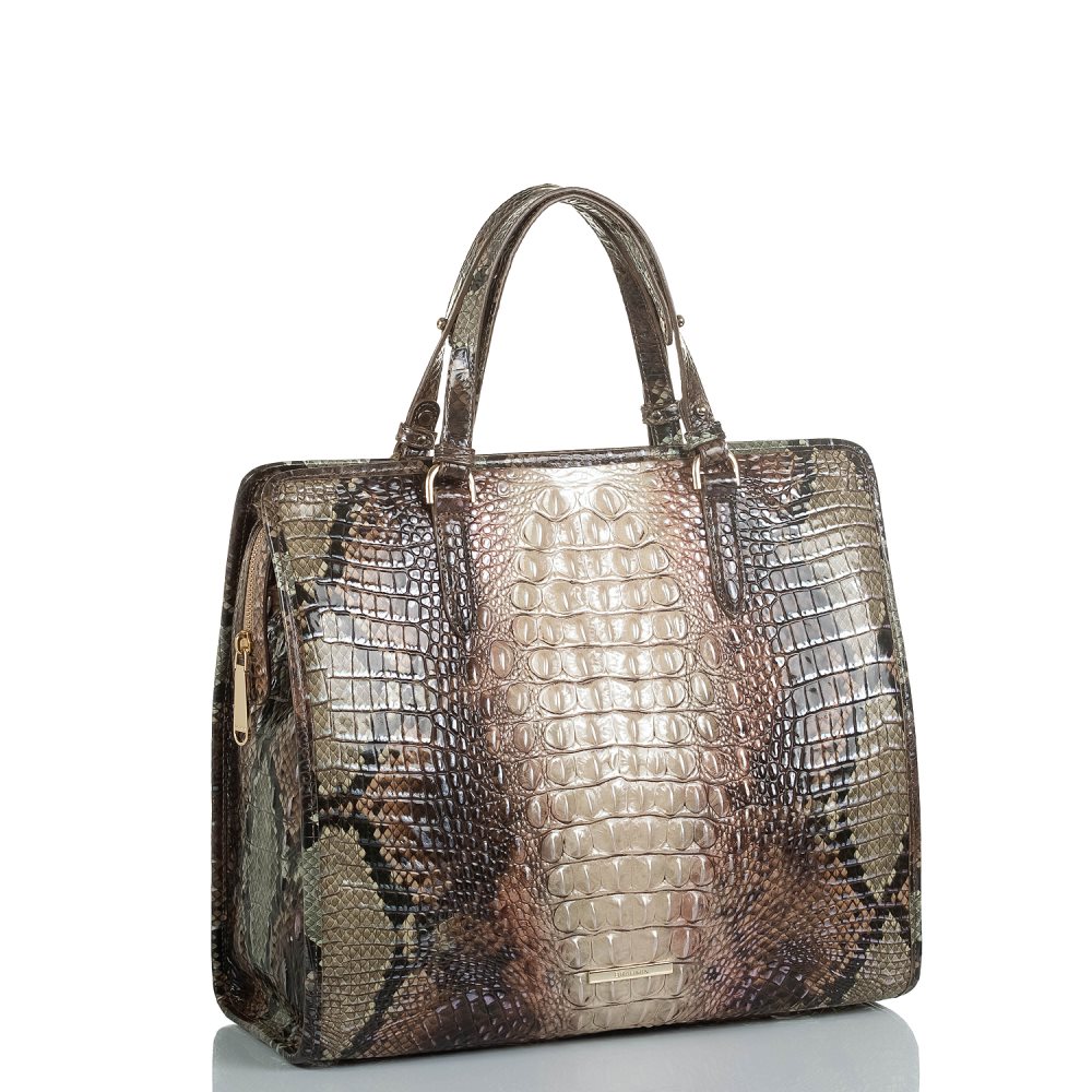 Brahmin | Women's Tia Diamondback Ombre Melbourne