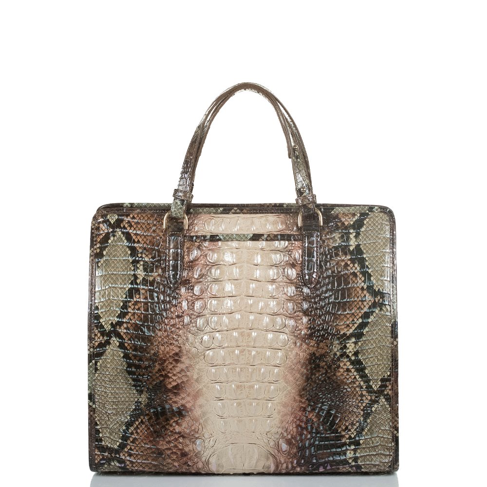 Brahmin | Women's Tia Diamondback Ombre Melbourne