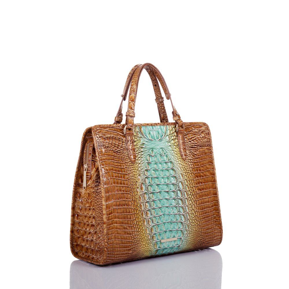 Brahmin | Women's Tia Cactus Ombre Melbourne