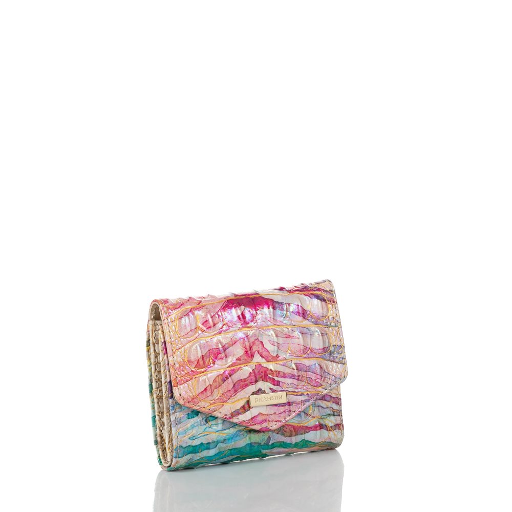 Brahmin | Women's Small Veronica Entice Ombre Melbourne