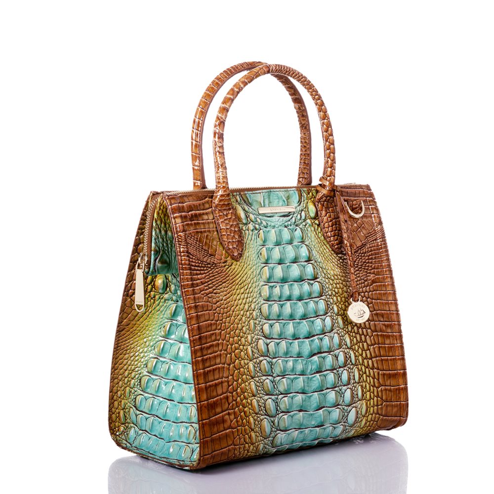 Brahmin | Women's Caroline Cactus Ombre Melbourne