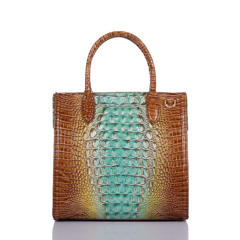 Brahmin | Women's Caroline Cactus Ombre Melbourne