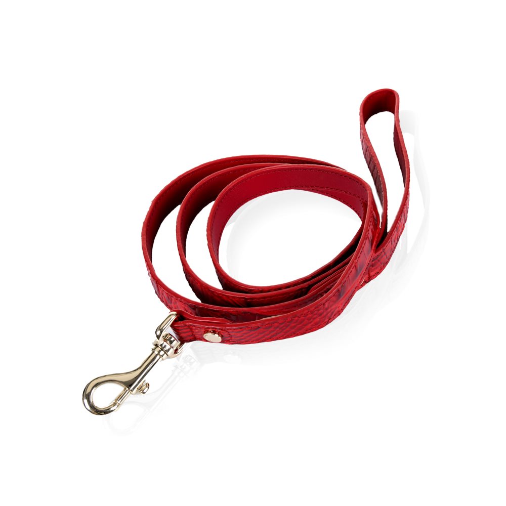 Brahmin | Women's Medium Pet Leash Carnation Melbourne