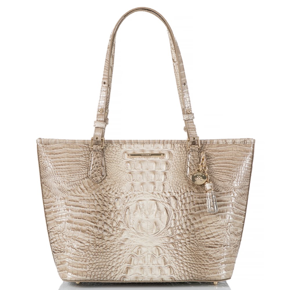 Brahmin | Women's Medium Asher Clay Melbourne