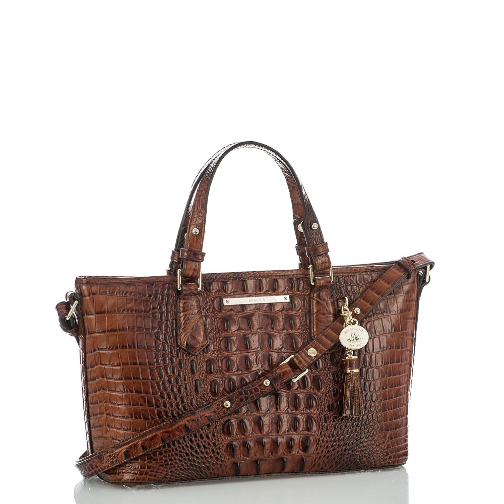 Brahmin | Women's Mini Asher Pecan Melbourne