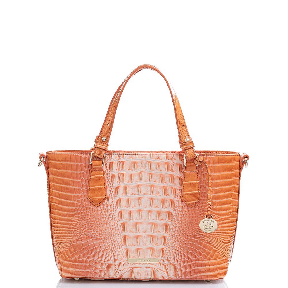 Brahmin | Women's Mini Misha Sherbert Ombre Melbourne - Click Image to Close