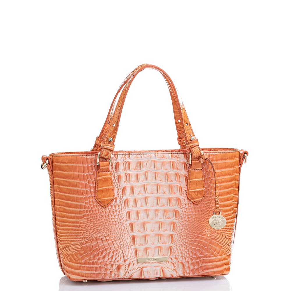 Brahmin | Women's Mini Misha Sherbert Ombre Melbourne