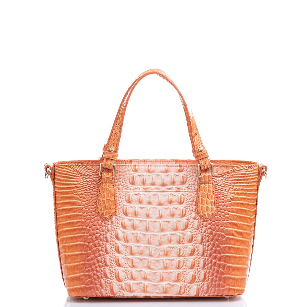 Brahmin | Women's Mini Misha Sherbert Ombre Melbourne