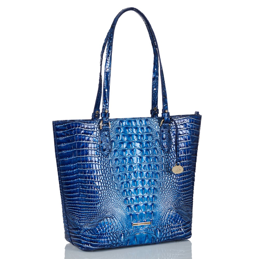 Brahmin | Women's Ellen Vista Blue Ombre Melbourne