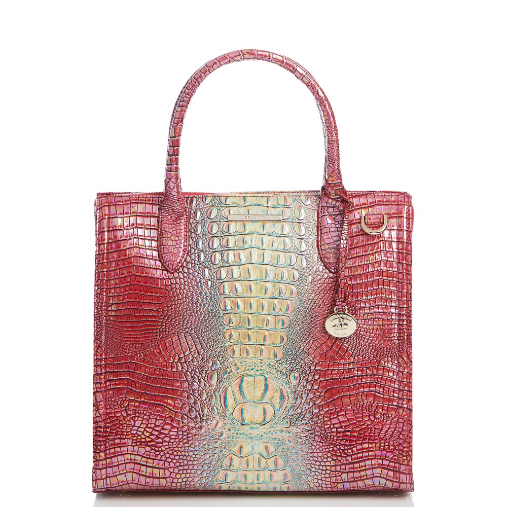 Brahmin | Women's Caroline Dragonfruit Ombre Mini Melbourne - Click Image to Close