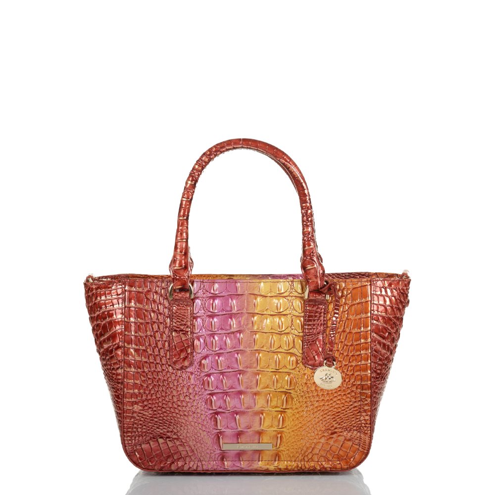 Brahmin | Women's Small Ashlee Glam Ombre Melbourne