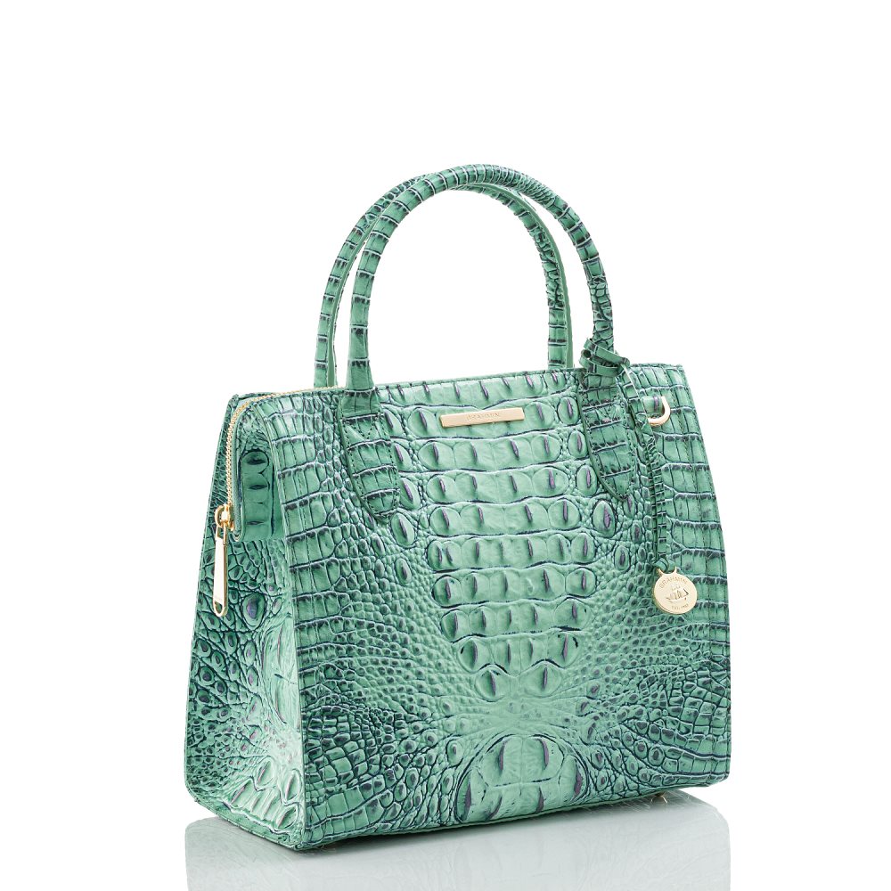 Brahmin | Women's Small Caroline Biscay Melbourne