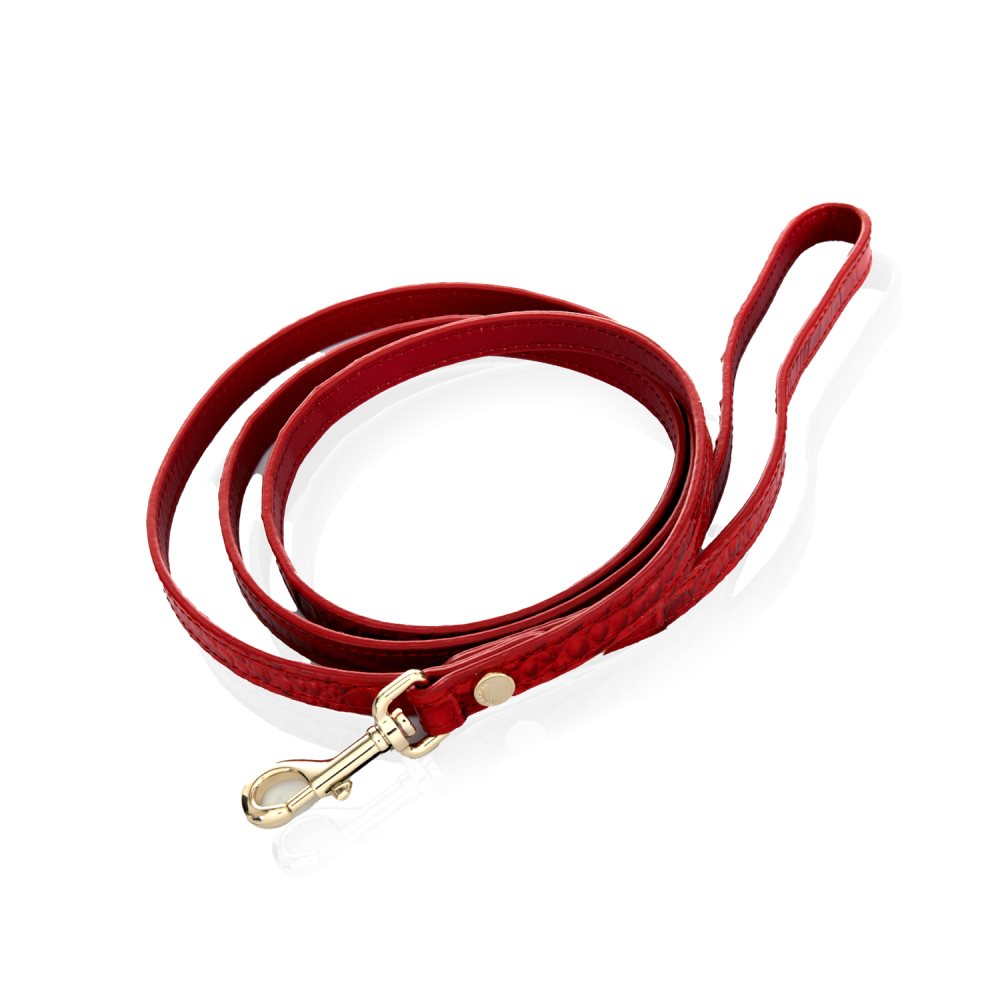 Brahmin | Women's Small Pet Leash Carnation Melbourne