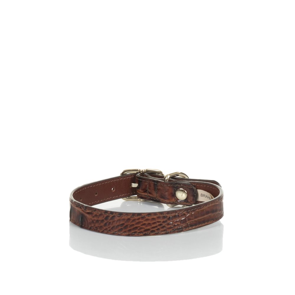 Brahmin | Women's Medium Brown Leather Dog Collar | Pecan Melbourne