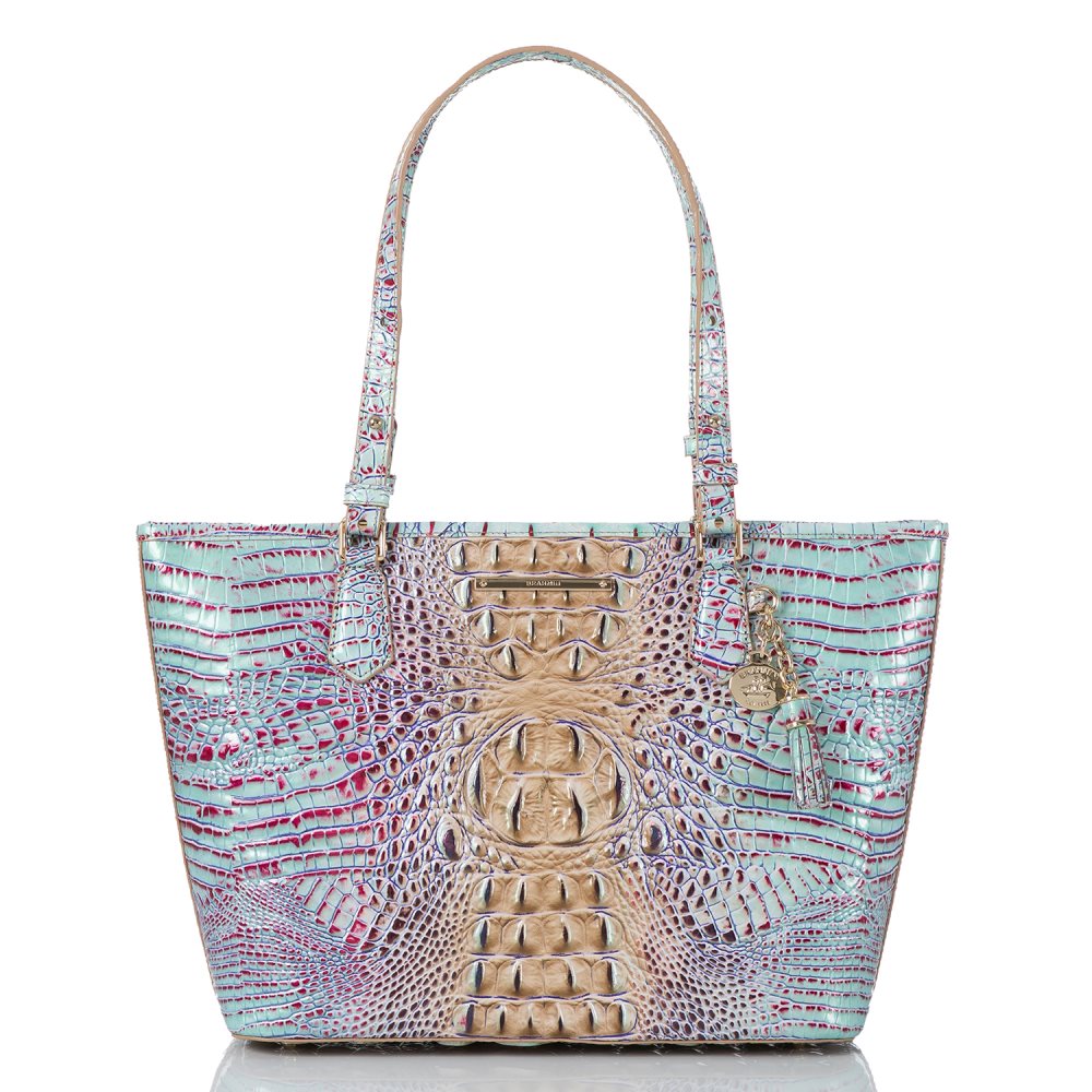 Brahmin | Women's Medium Asher Seltzer Ombre Melbourne - Click Image to Close