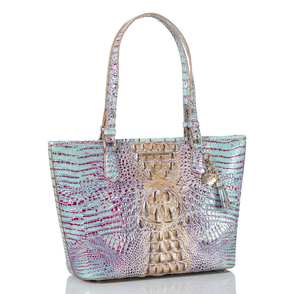 Brahmin | Women's Medium Asher Seltzer Ombre Melbourne