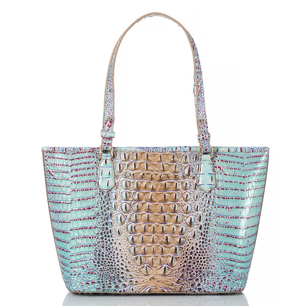 Brahmin | Women's Medium Asher Seltzer Ombre Melbourne