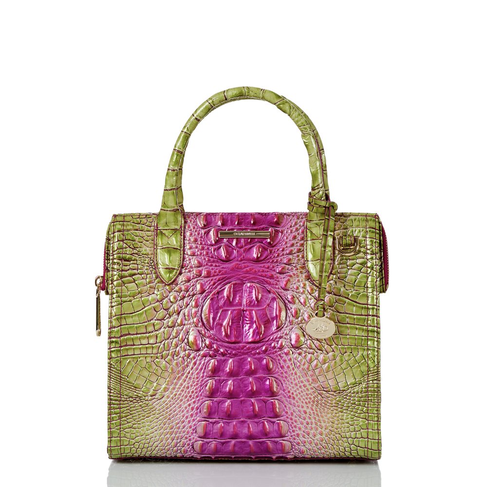 Brahmin | Women's Small Caroline Limeade Ombre Melbourne