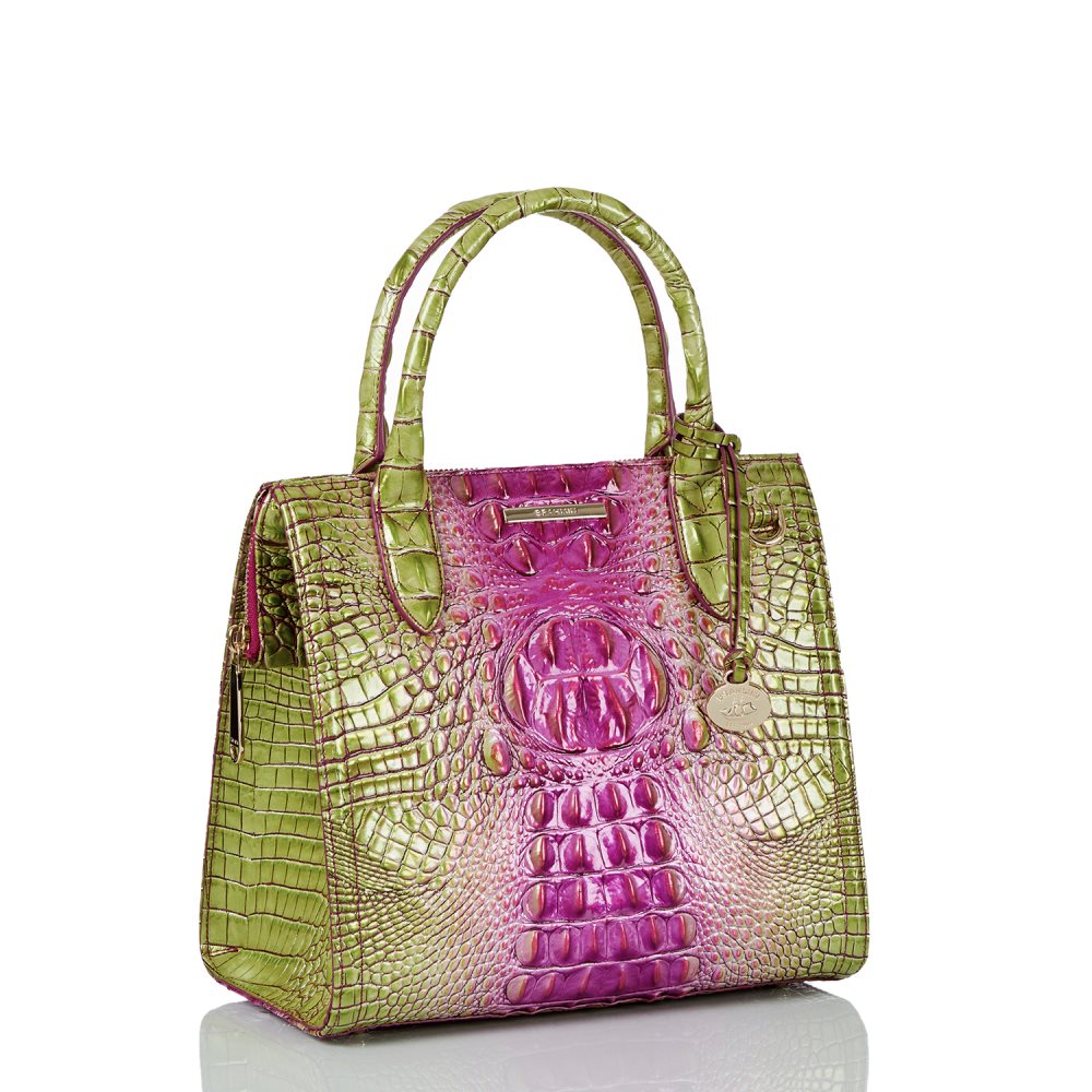 Brahmin | Women's Small Caroline Limeade Ombre Melbourne