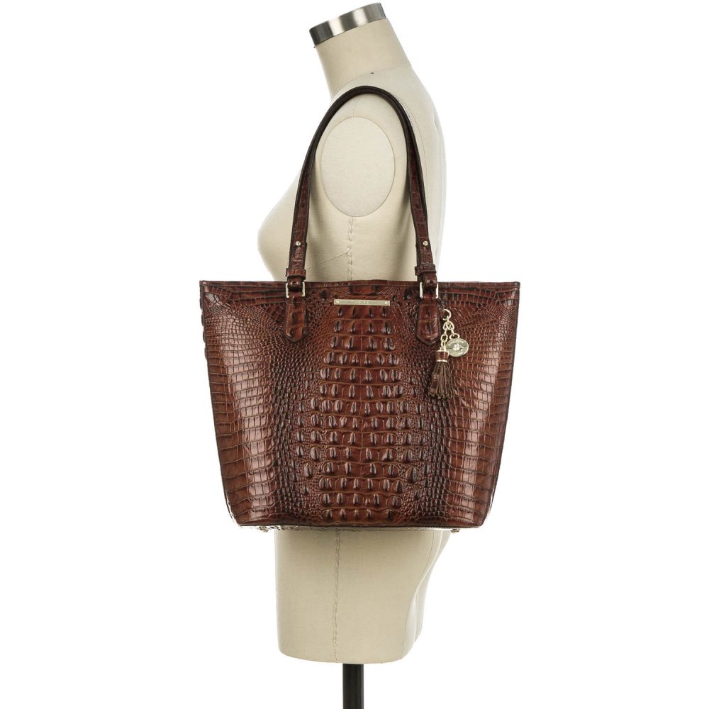 Brahmin | Women's Asher Cappuccino Delancy