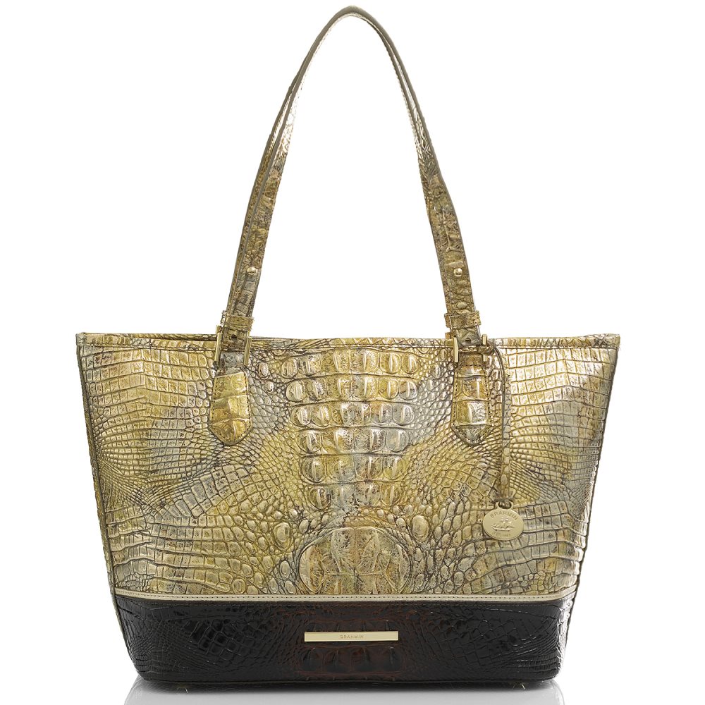 Brahmin | Women's Medium Asher Symphony Katla - Click Image to Close