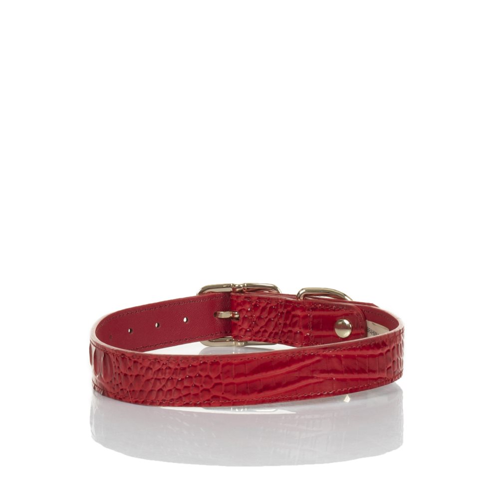 Brahmin | Women's Large Pet Collar Carnation Melbourne