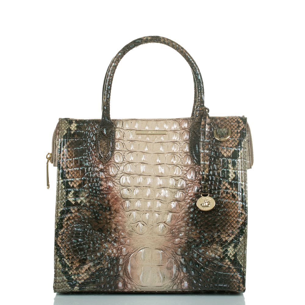 Brahmin | Women's Caroline Diamondback Ombre Melbourne