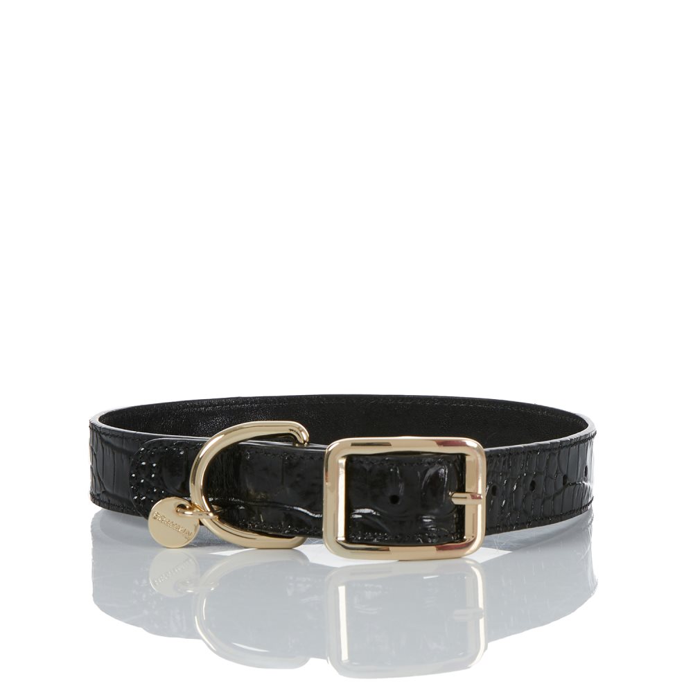 Brahmin | Women's Large Pet Collar Black Melbourne