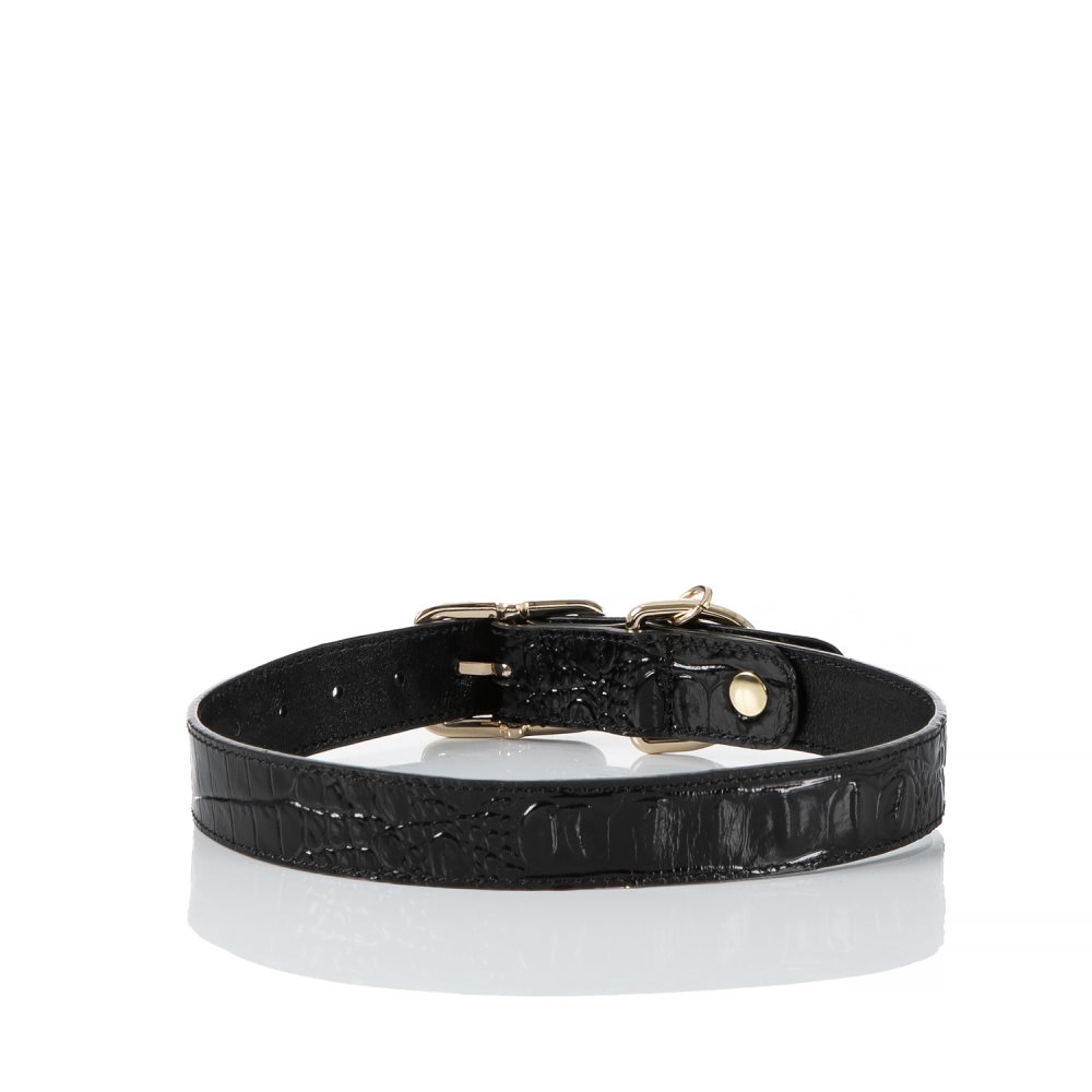 Brahmin | Women's Large Pet Collar Black Melbourne