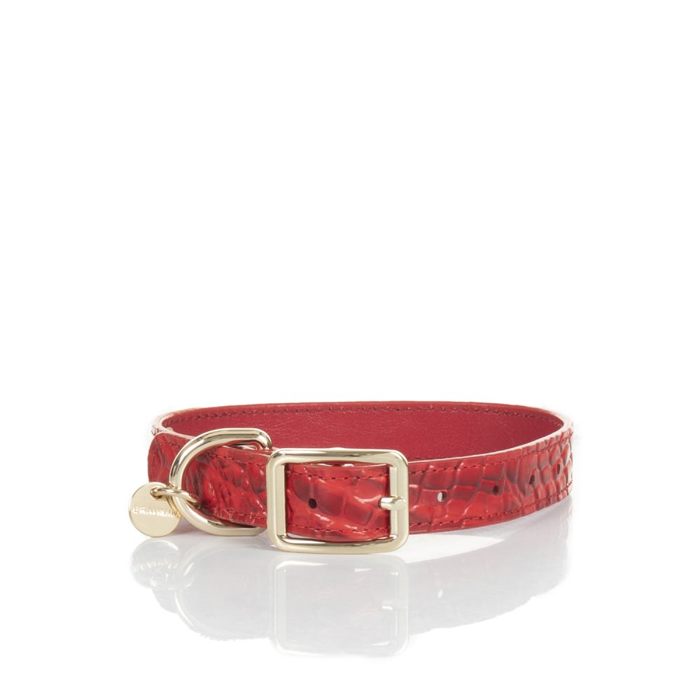 Brahmin | Women's Medium Pet Collar Carnation Melbourne - Click Image to Close