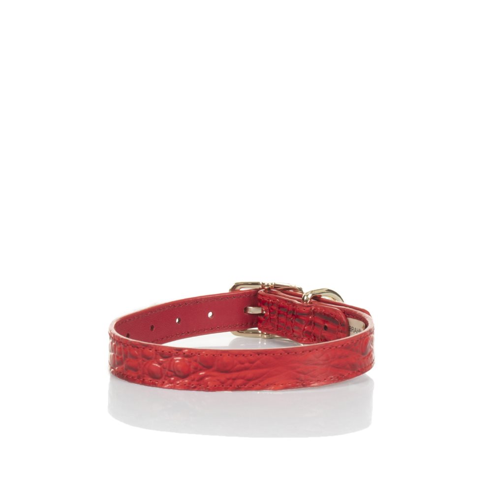 Brahmin | Women's Medium Pet Collar Carnation Melbourne