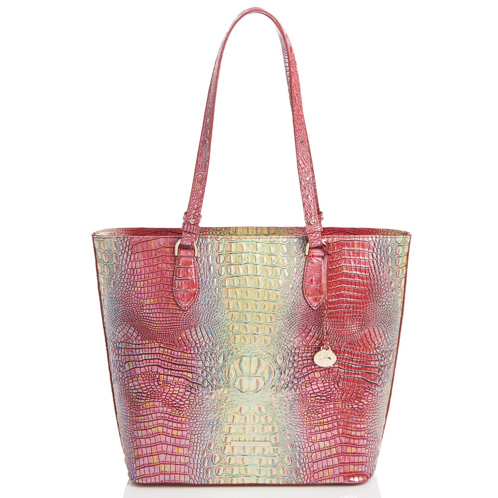 Brahmin | Women's Ellen Dragonfruit Ombre Mini Melbourne