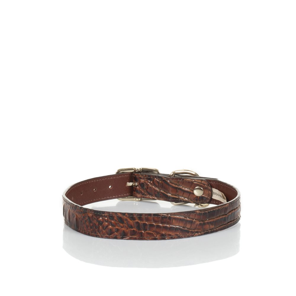 Brahmin | Women's Large Brown Leather Dog Collar | Pecan Melbourne